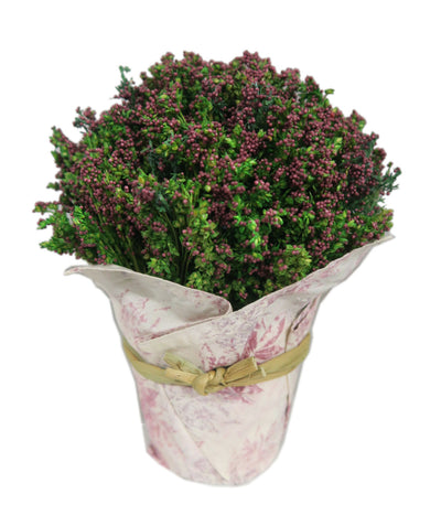 Sophia Ella Bouquet - Lavender